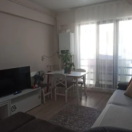 In The Heart Of The Apartment *